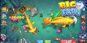 Tìm hiểu về game Bắn cá H5 chi tiết
